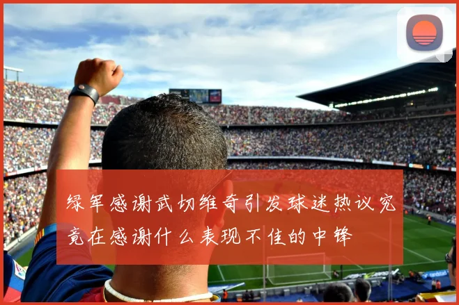 绿军感谢武切维奇引发球迷热议究竟在感谢什么表现不佳的中锋
